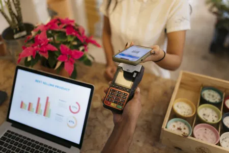 Payment Terminal Management System